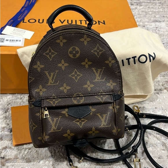 Louis Vuitton Palm Springs Mini - Picture 3 of 15